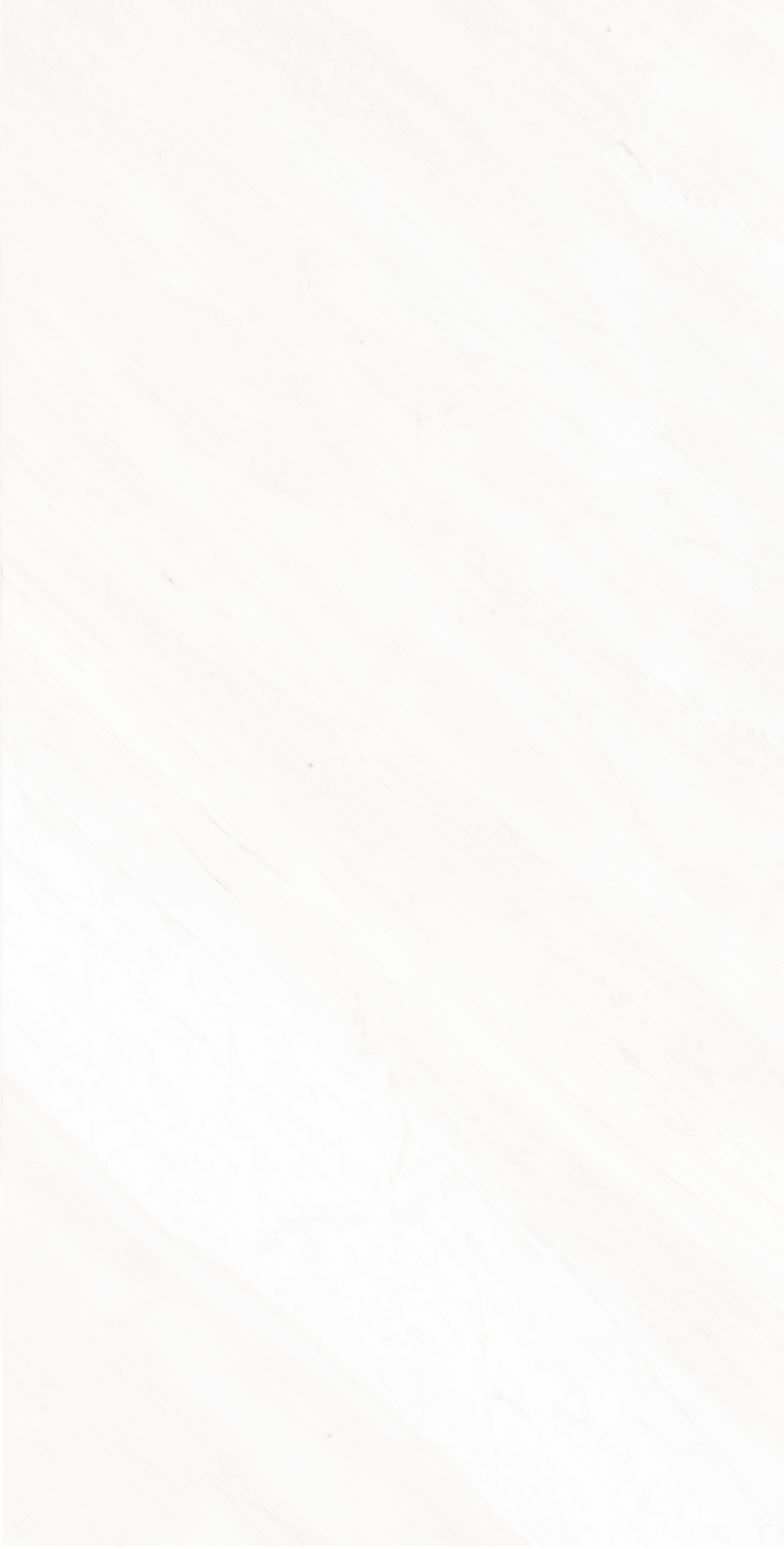 3A80981   400x800；