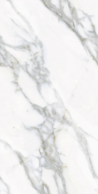 HAPEK157002雅典鱼肚金